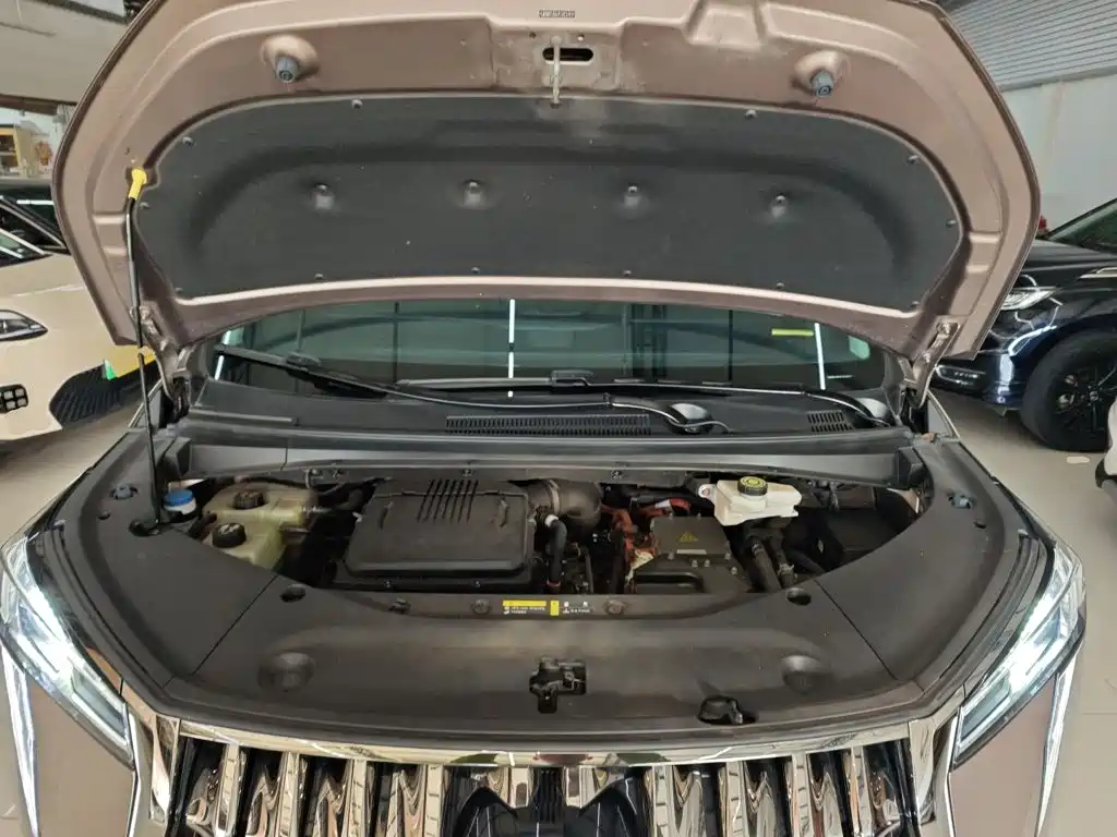 GAC Trumpchi Trumpchi E9 2023 2023 E9 Grandmaster