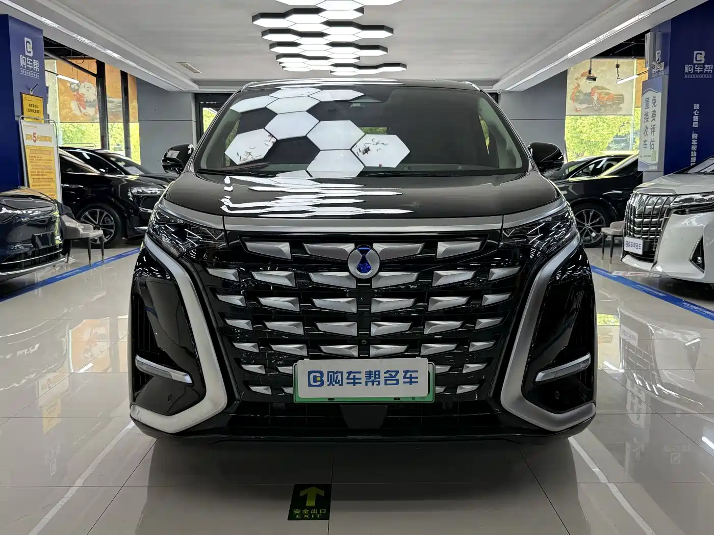 Denza D9 2022 DM-i 970 AWD Flagship фото 2