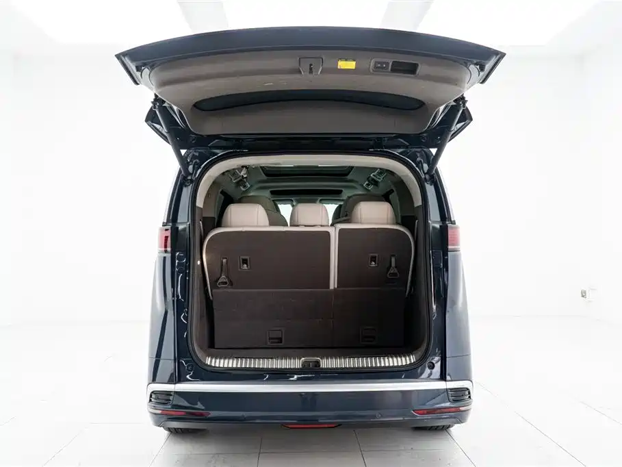 Denza D9 2022 DM-i 970 All-Wheel Drive Honor Edition фото 13