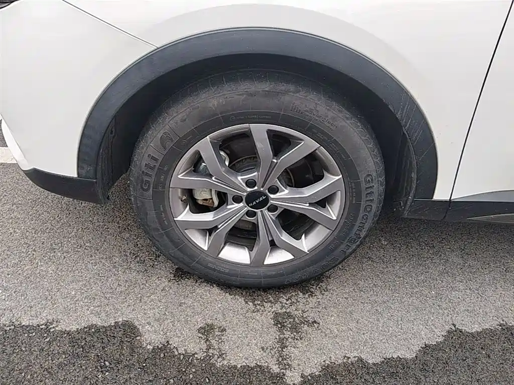 Haval H6 2021 Model National Trend Edition 1.5T Auto Champion фото 23