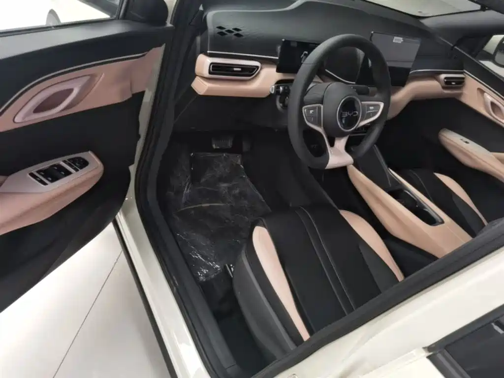 BYD Seagull 2025 Smart Drive Edition 305km Vitality Version фото 16