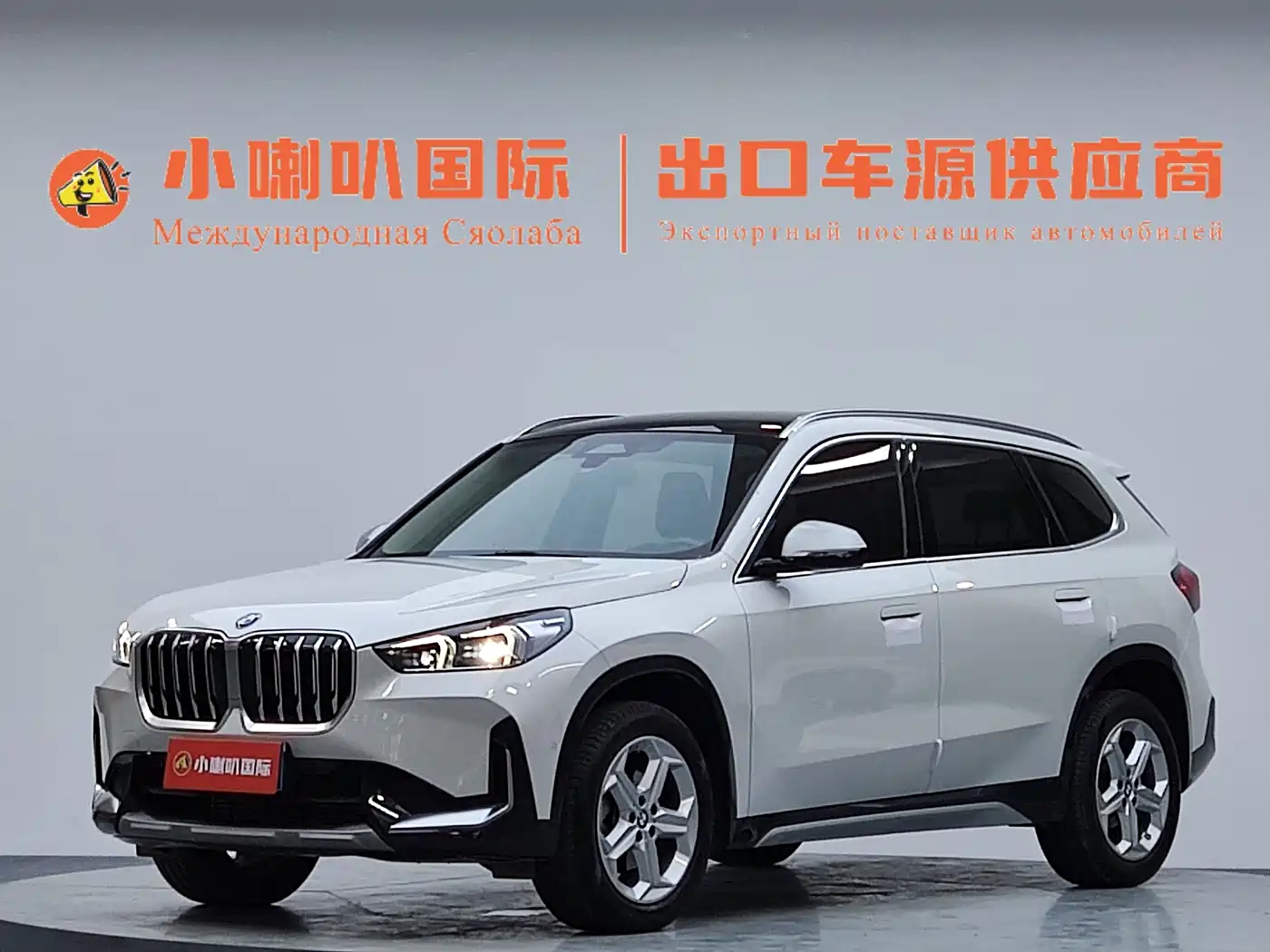 BMW X1 2023 sDrive20Li X Design Package