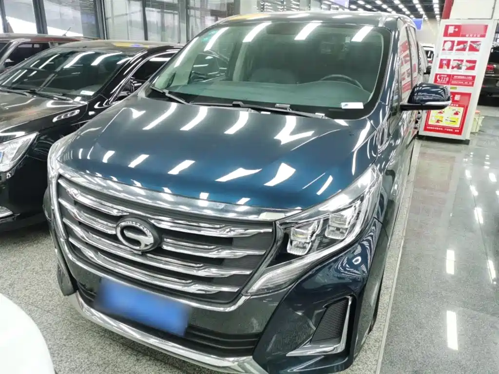 GAC Trumpchi Trumpchi M8 2020 Pilot 390T Premium Edition фото 3