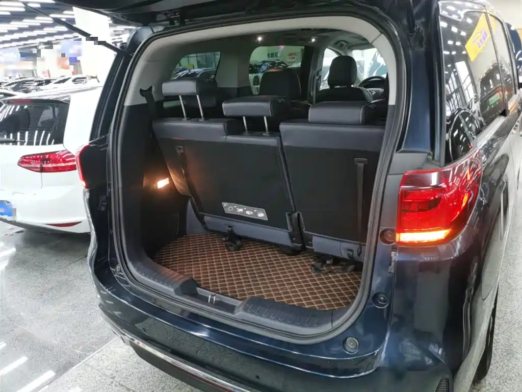 GAC Trumpchi Trumpchi M8 2020 Pilot 390T Premium Edition фото 15