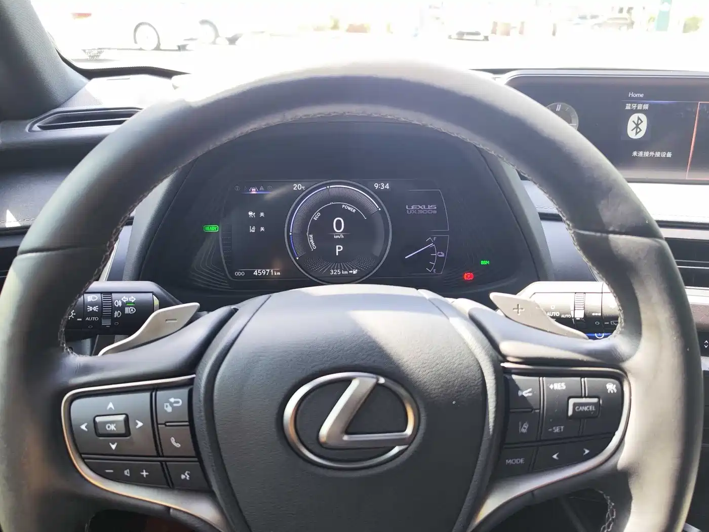 Lexus UX Electric 2020 300e Pure Enjoyment Edition фото 12