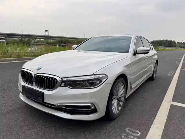 BMW 5 Series New Energy 2020 530Le Luxury Package