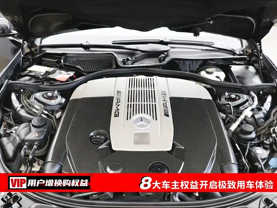 Mercedes-Benz S-Class AMG 2010 AMG S 65 фото 7