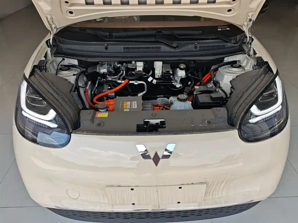 Wuling Motors Wuling Bingo 2026 2025 Model 333km Joy Edition