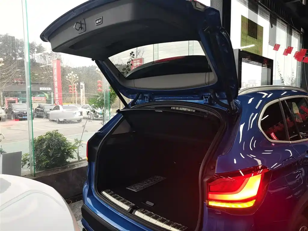 BMW X1 2020 xDrive25Li Premium Edition фото 19