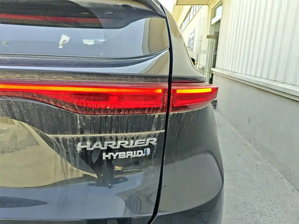 Toyota Lingfang HARRIER 2023 Hybrid 2.5L CVT 4WD Premium Edition фото 8