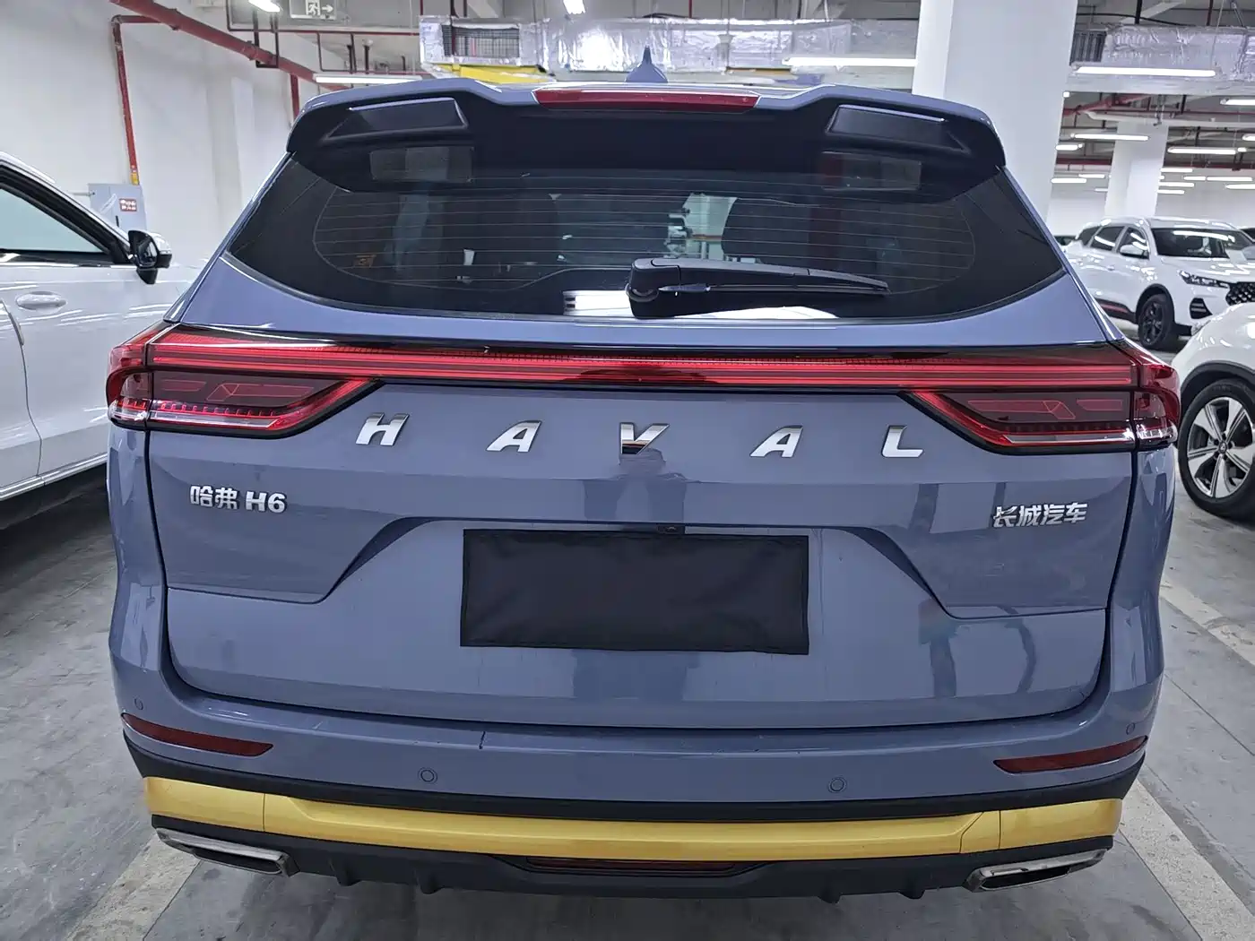 Haval H6 2023 National Trend Edition 1.5T Automatic Champion фото 6