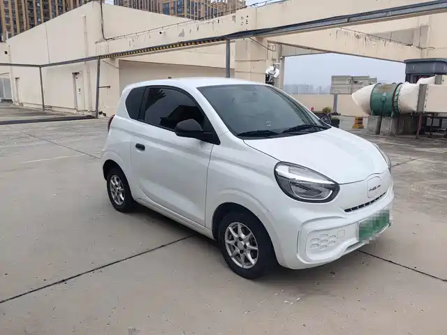  Roewe Kaiwei CLEVER 2022 311km Vitality Bobo Edition