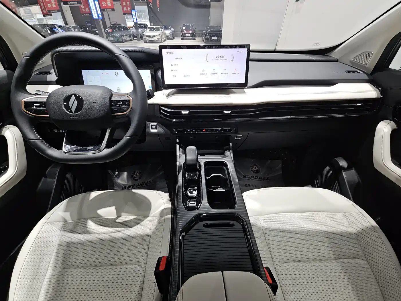 RUILAN AUTOMOBILE RUILAN 9