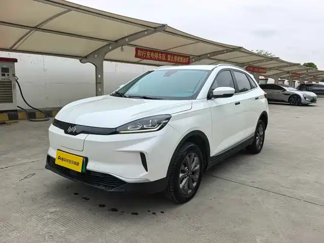 WEIMA AUTOMOBILE WEIMA EX5 2022