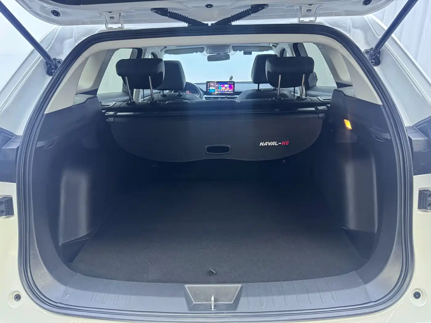 Фото 12 - Haval H6