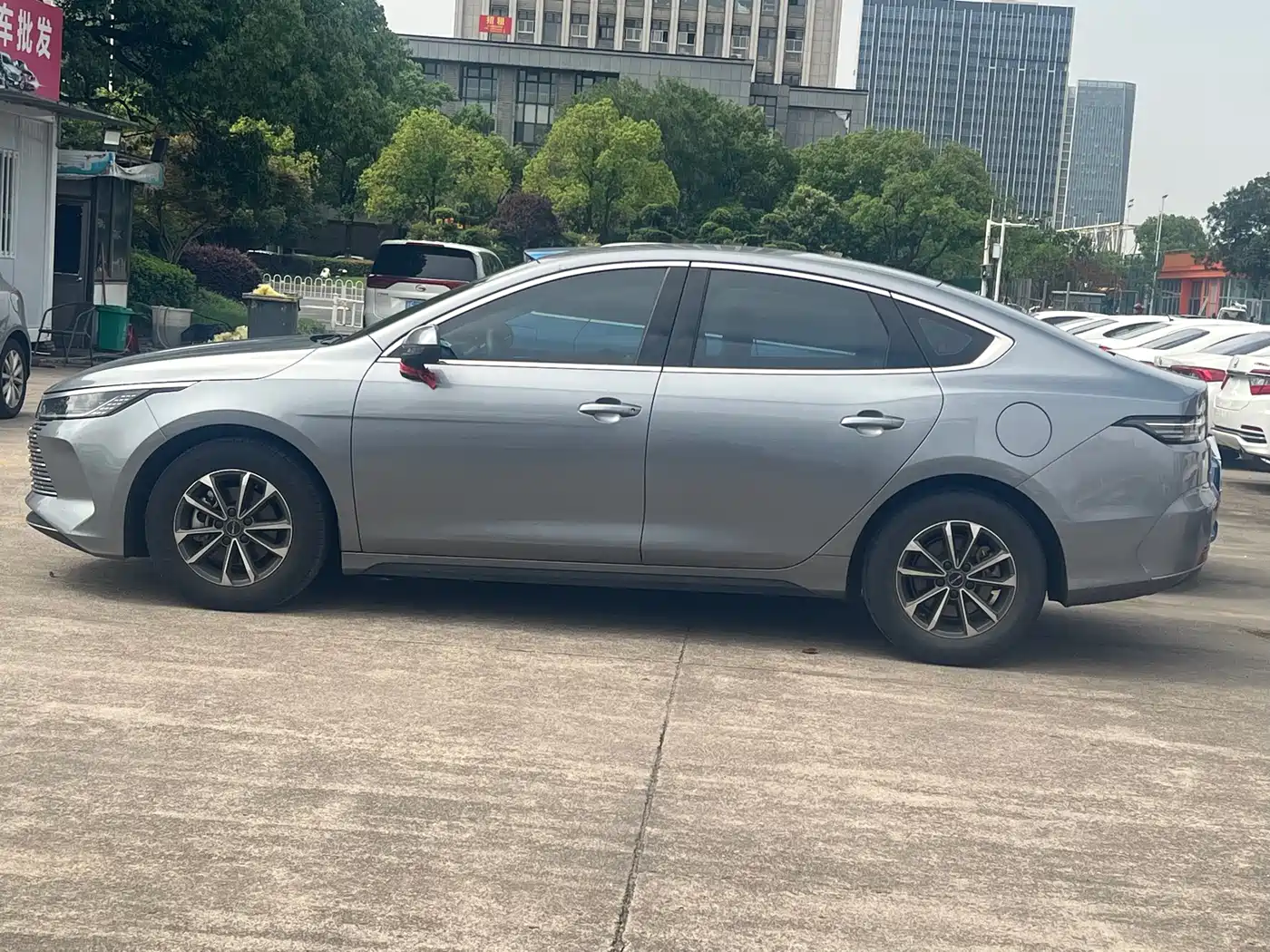 BYD Destroyer 05 2023 Champion Edition DM-i 55KM Luxury фото 3