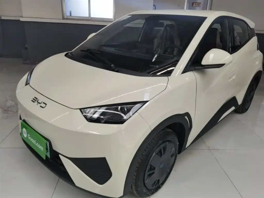 BYD Seagull 2025 Smart Drive Edition 305km Vitality Version
