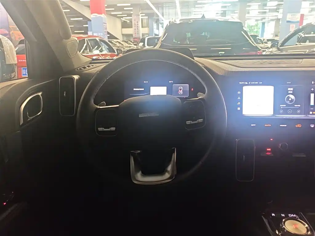 Haval Big Dog 2022 1.5T DCT FWD Border Collie Edition фото 11