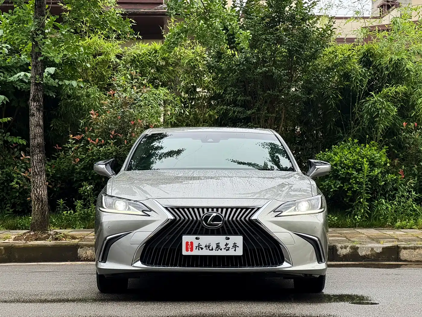 Lexus ES 2021 200 Excellence Edition фото 2