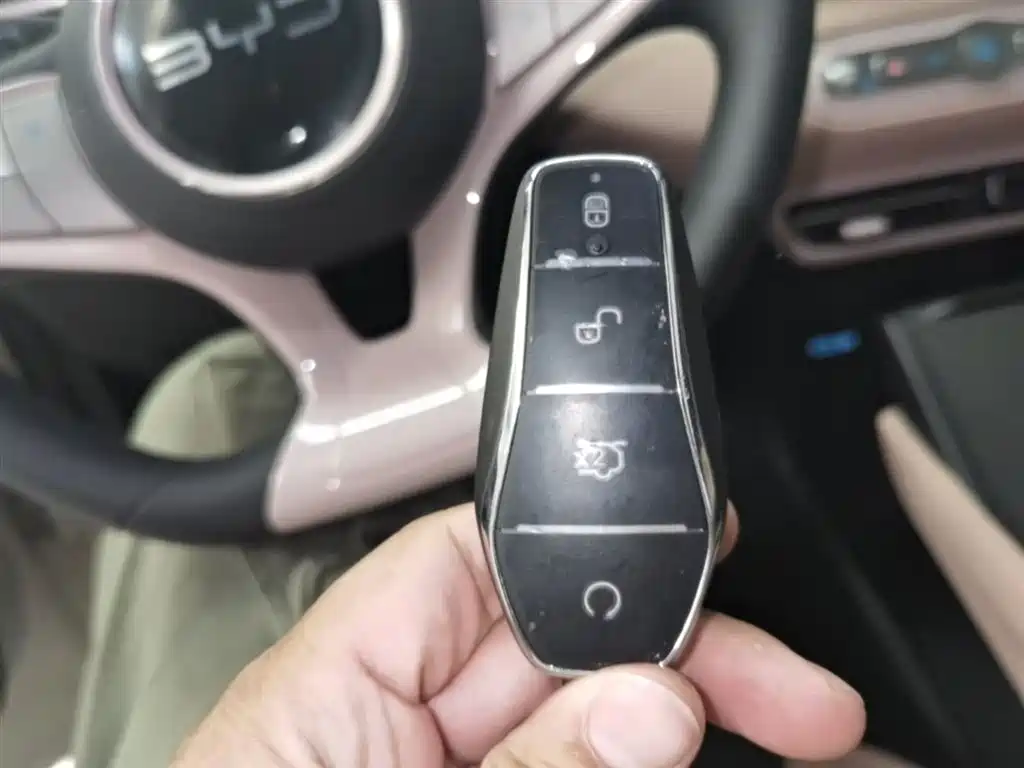 BYD Seagull 2025 Smart Drive Edition 305km Vitality Version фото 9