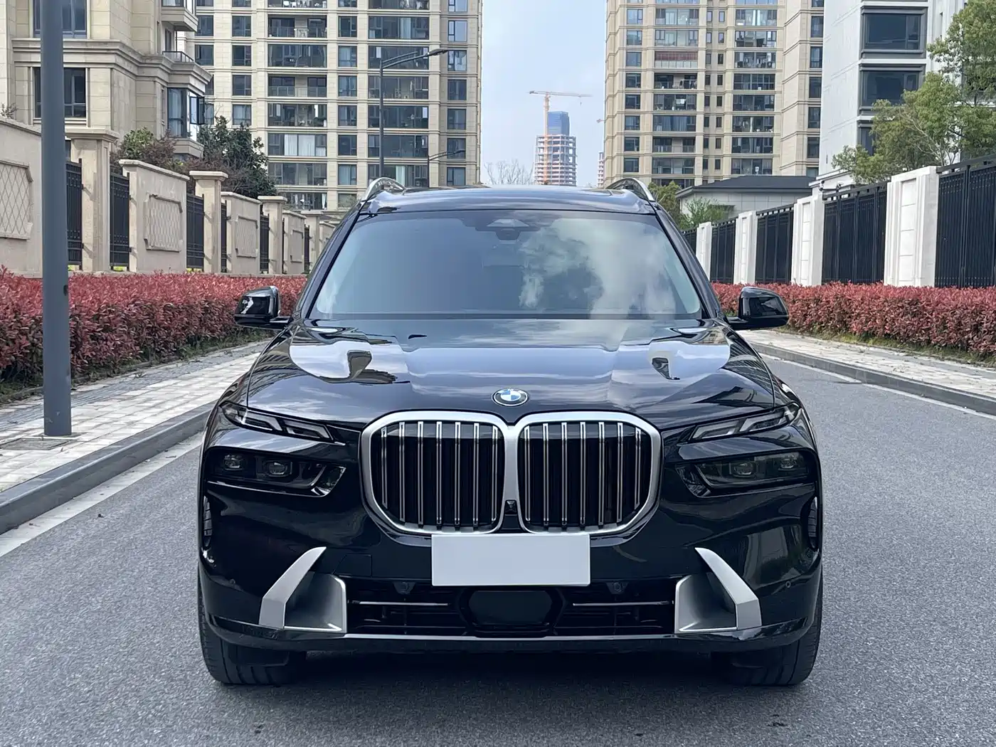 BMW X7 2023 xDrive40i Leading Luxury Package фото 2