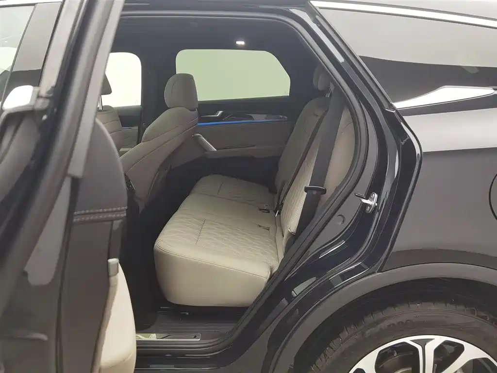 BYD Tang New Energy 2025 DM-i 115KM Prestige Type фото 15