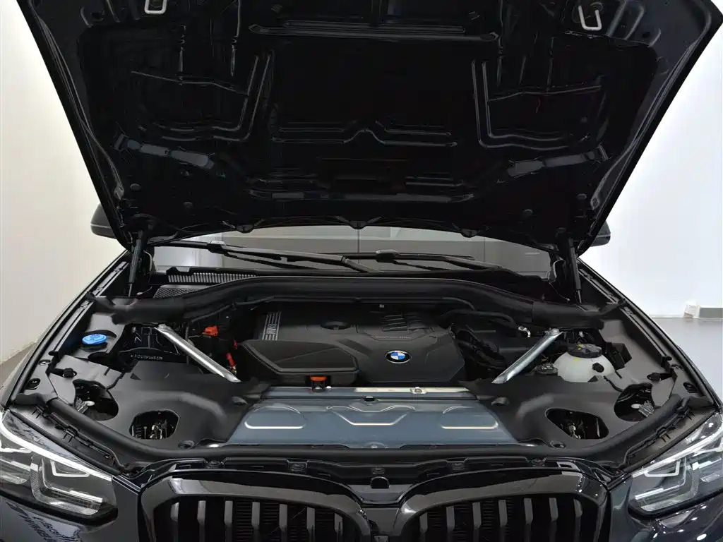 BMW X3 2023 xDrive30i Leading M Night Package фото 10