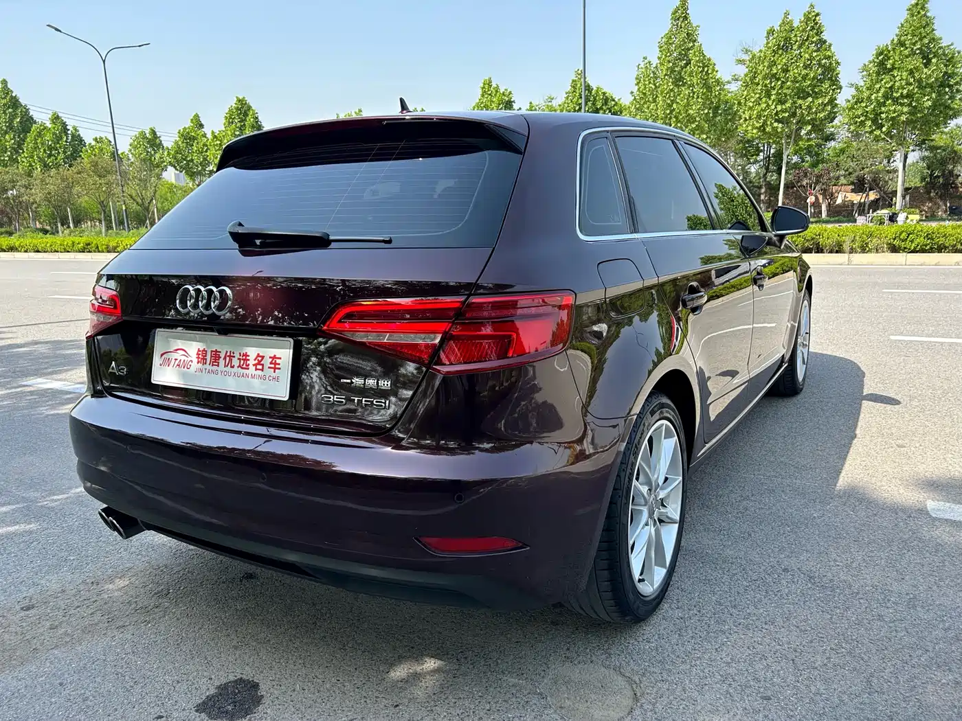Audi A3 2018 30th Anniversary Sportback 35 TFSI Progressive фото 12
