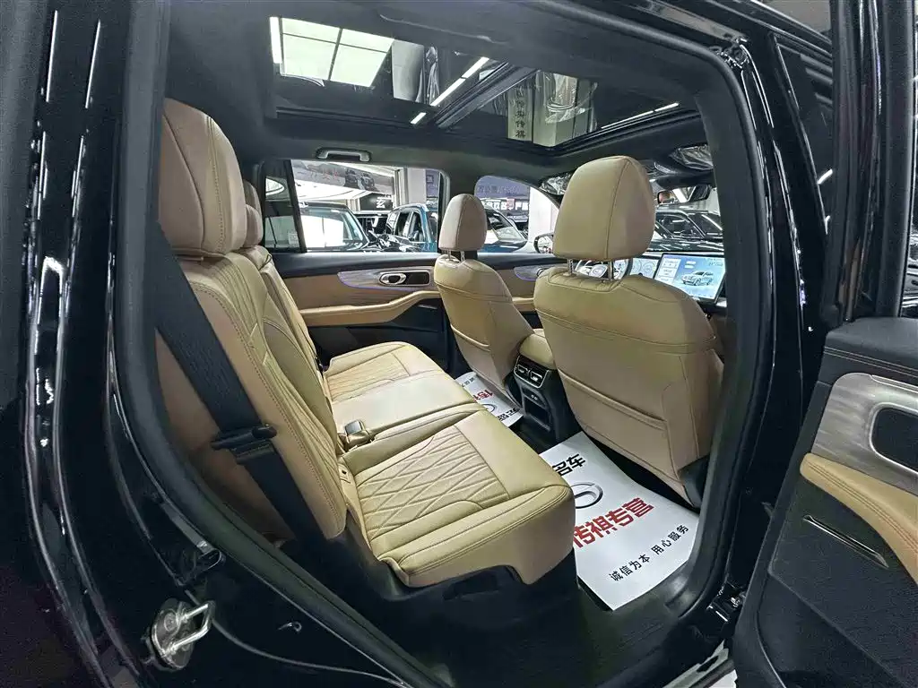GAC Trumpchi Trumpchi GS8 2025 Pilot Series 2.0TGDI 2WD Luxury Edition 5-seater фото 27