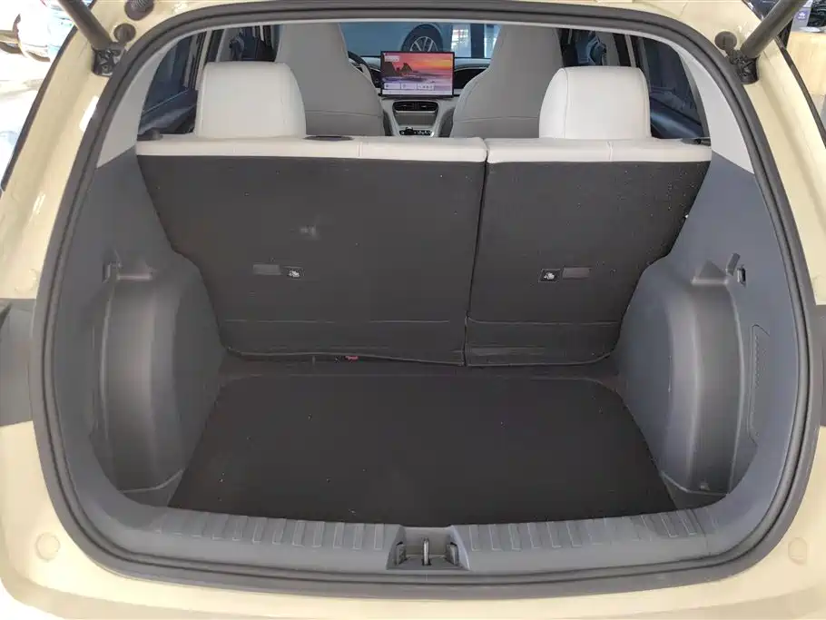 Geely Galaxy Starry Wish 2025 310km Dream Edition фото 4