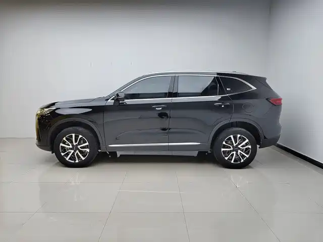 Haval H6 2022 3rd Gen 1.5T Auto 2WD Max фото 2