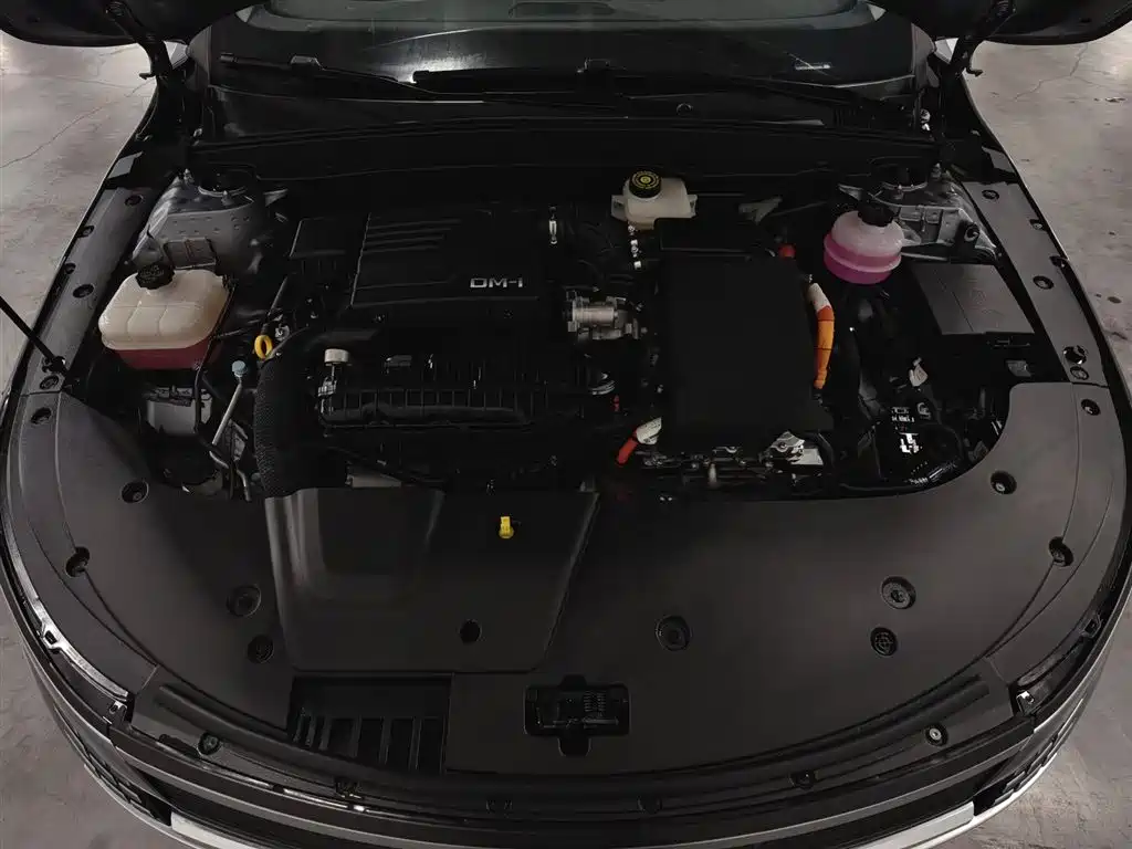 BYD Destroyer 05 2024 Glory Edition DM-i 55KM Luxury фото 6