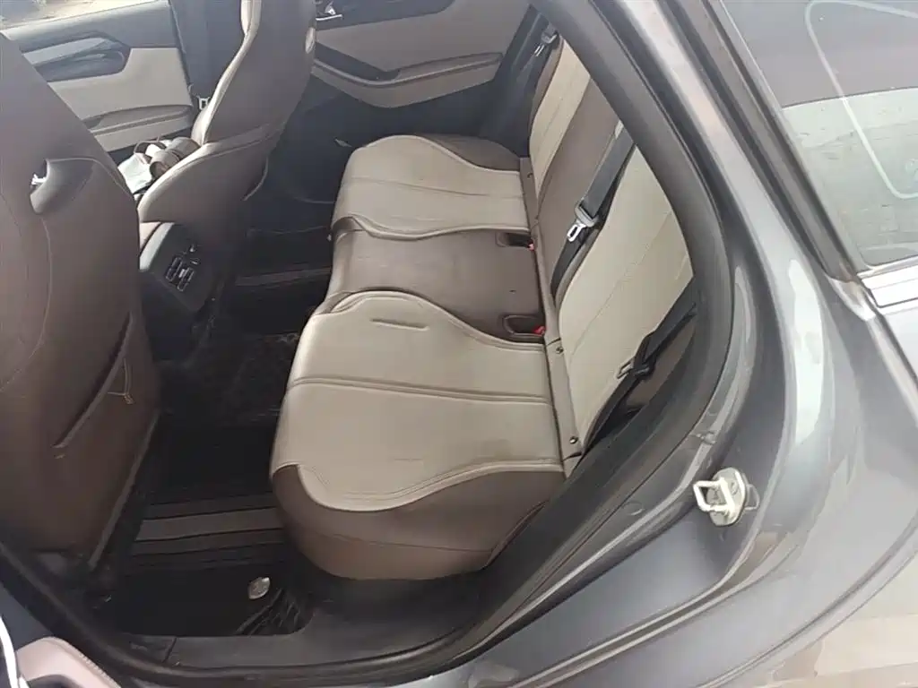 BYD Qin PLUS 2023 Champion Edition DM-i 55KM Leading фото 17
