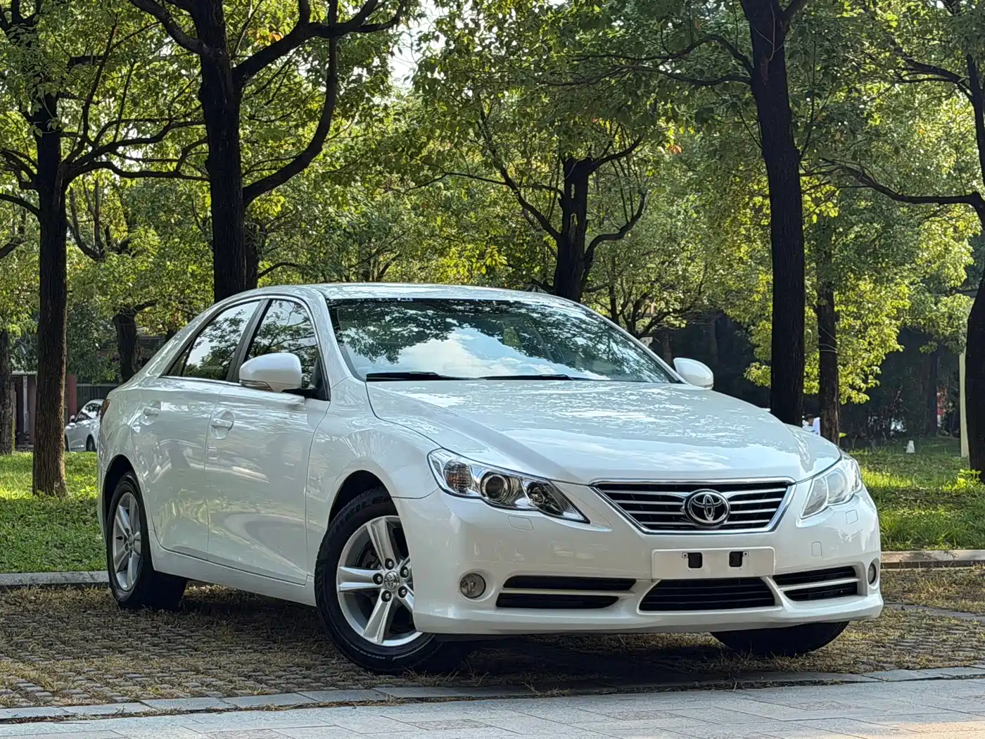 Toyota Reiz 2008 2.5S Special Navigation Edition фото 3