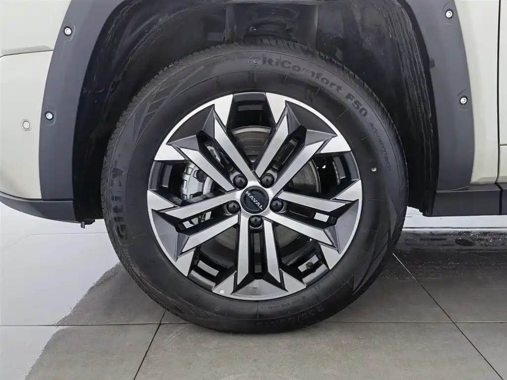 Haval Da Gou 2nd Gen 2026 Model 2.0T Premium Edition PLUS фото 17