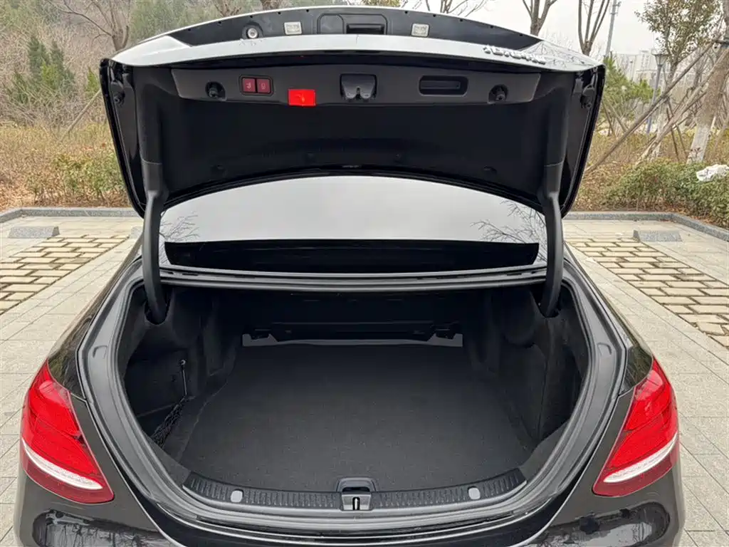 Mercedes-Benz E-Class 2020 E 260 L фото 9