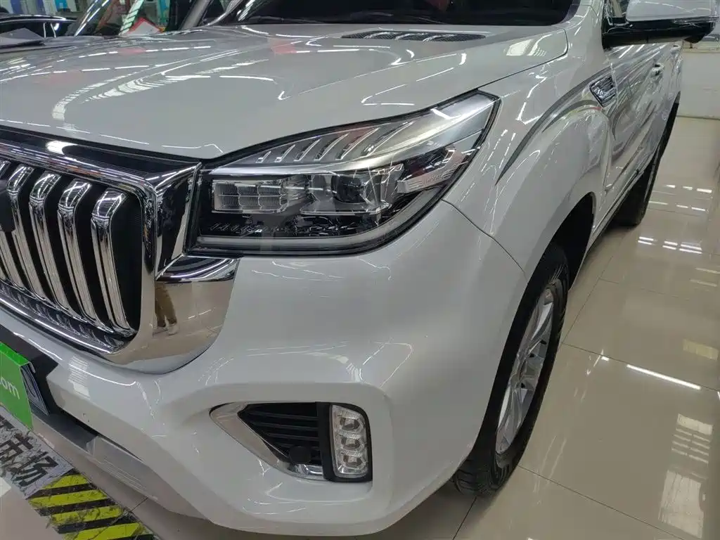 Haval H9 2022 2.0T Gasoline 4WD Premium 5-seater фото 24
