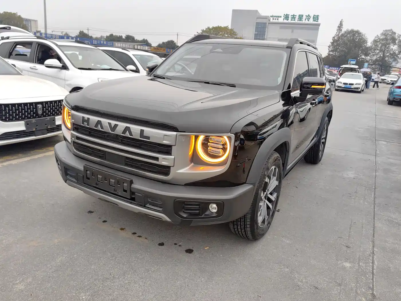 Haval Big Dog 2024 1.5T DCT Border Collie Edition