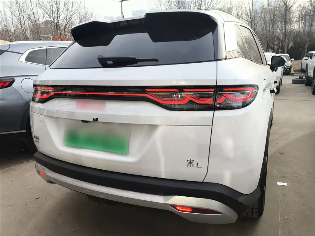 BYD Song L DM-i 2024 112km Leading Edition фото 6