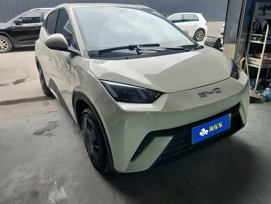 BYD Seagull 2024 Glory Edition 305km Vitality Edition
