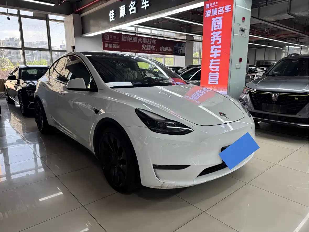 Tesla Model Y 2024 Performance фото 3