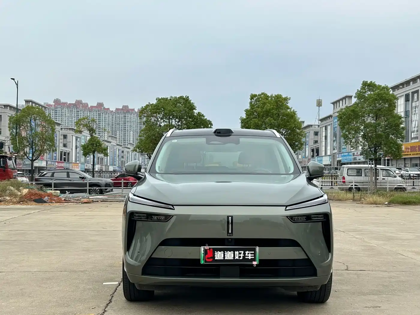 WEI PAI WEI BRAND BLUE MOUNTAIN