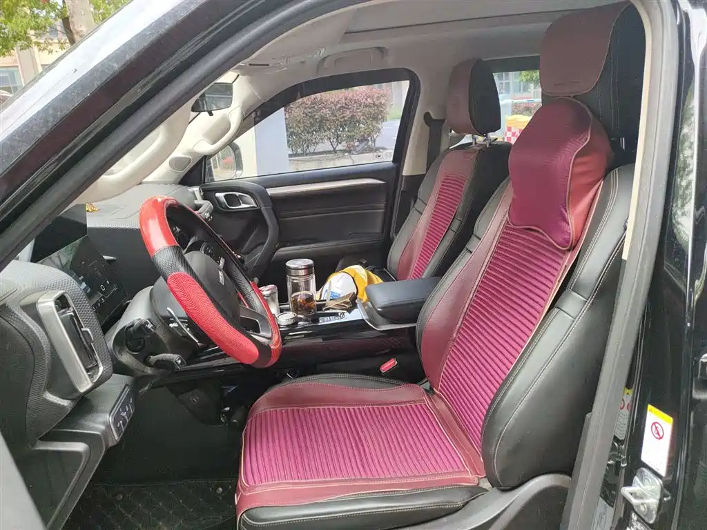 Haval Big Dog 2022 1.5T DCT FWD Border Collie Edition фото 11