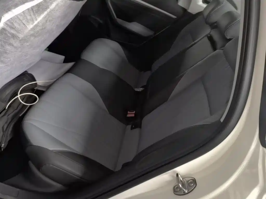 Volkswagen Lavida 2024 Model 1.5L Automatic Starlight 5 Million Edition фото 17