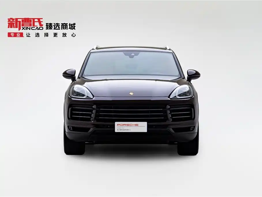 Porsche Cayenne 2022 Cayenne 3.0T Platinum Edition фото 2