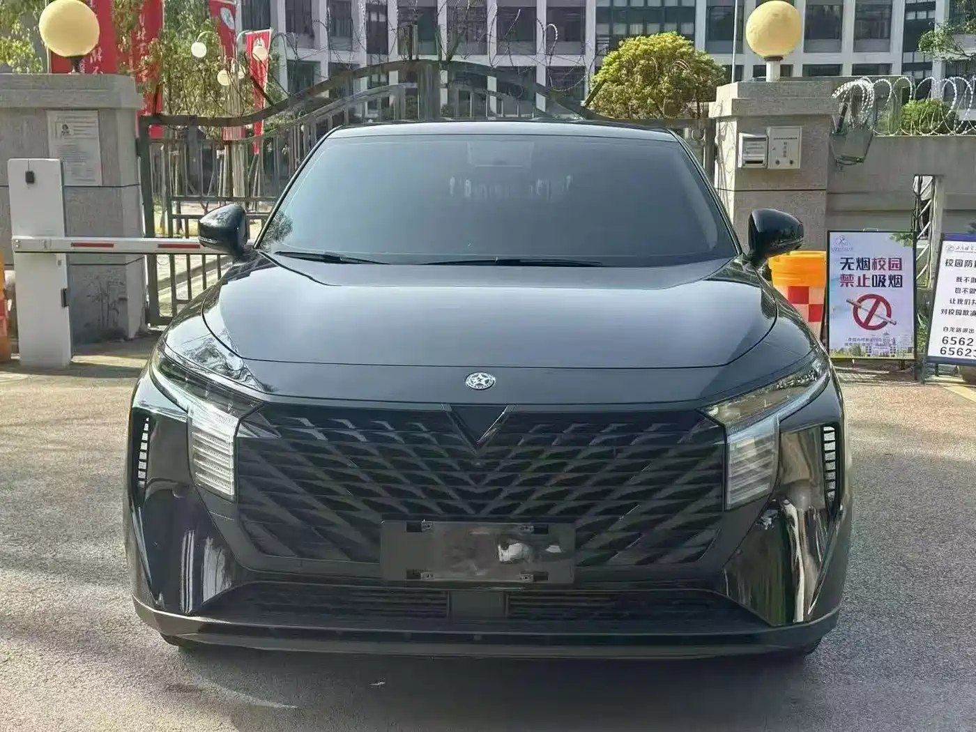 QICHEN BIG V