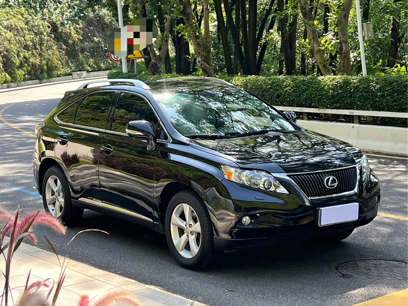 Lexus RX Classic 2011 270 Luxury фото 3