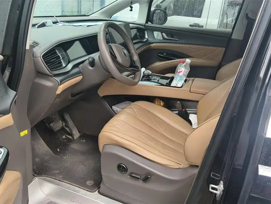 Denza D9 2022 DM-i 970 All-Wheel Drive Honor Edition фото 9