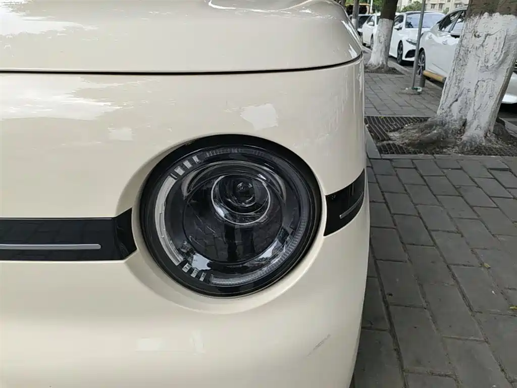 Geely Galaxy Panda 2025 Panda mini 210km Vitality Bear фото 24