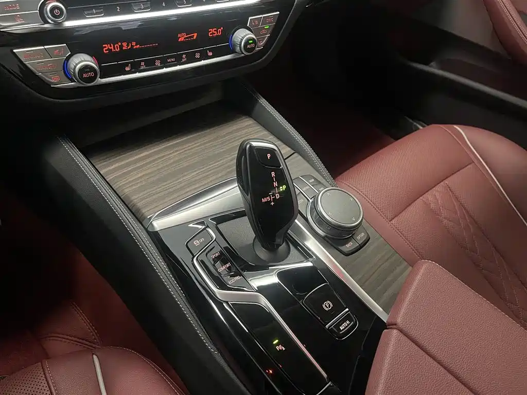 BMW 5 Series 2021 530Li xDrive Luxury Package фото 19